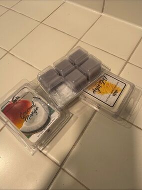 Coconut Mango & Beachy Wax Melt Clamshells - Light Gray Wax